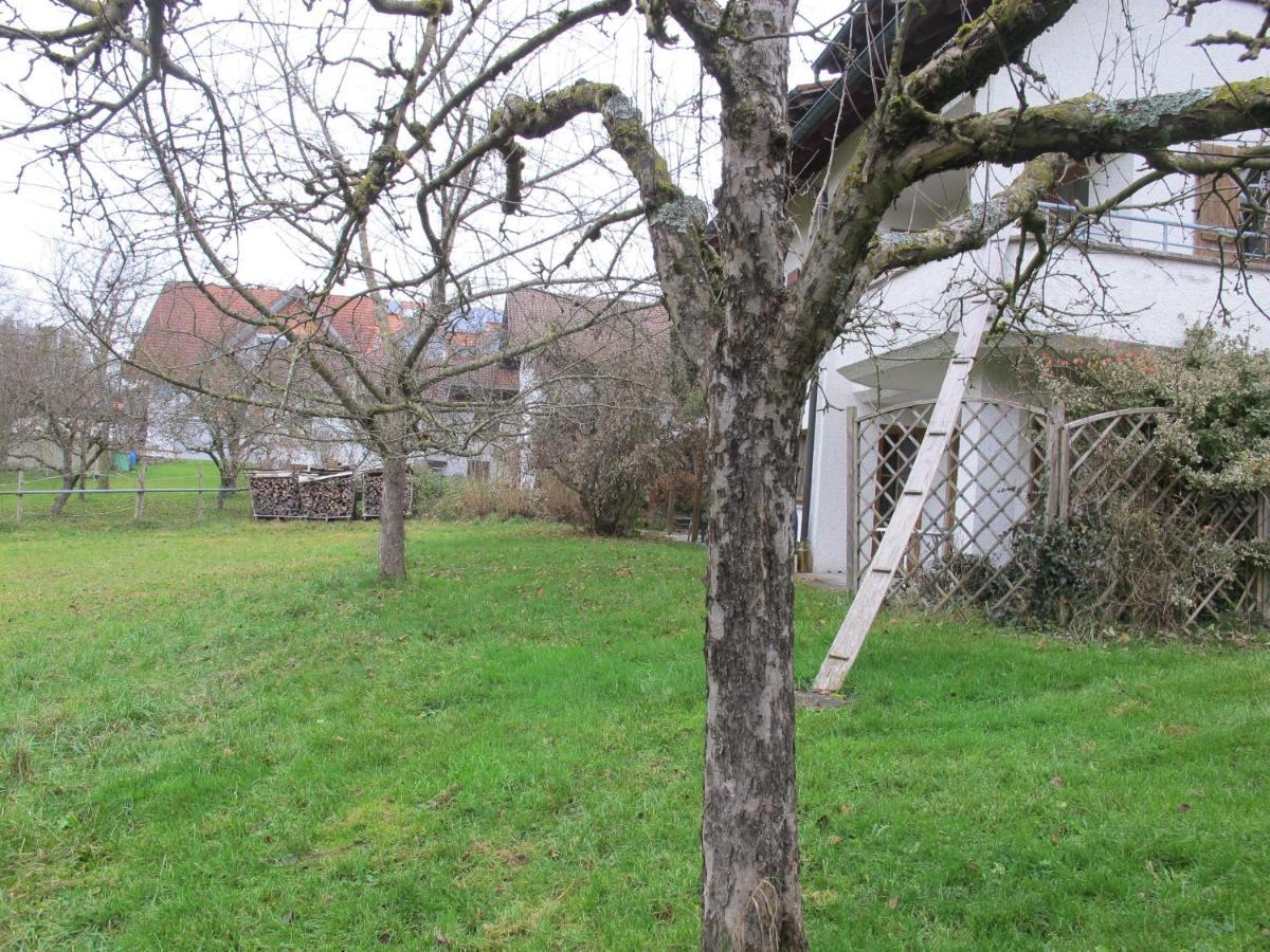 Gasthaus Adler Hotel Wangen im Allgäu Esterno foto